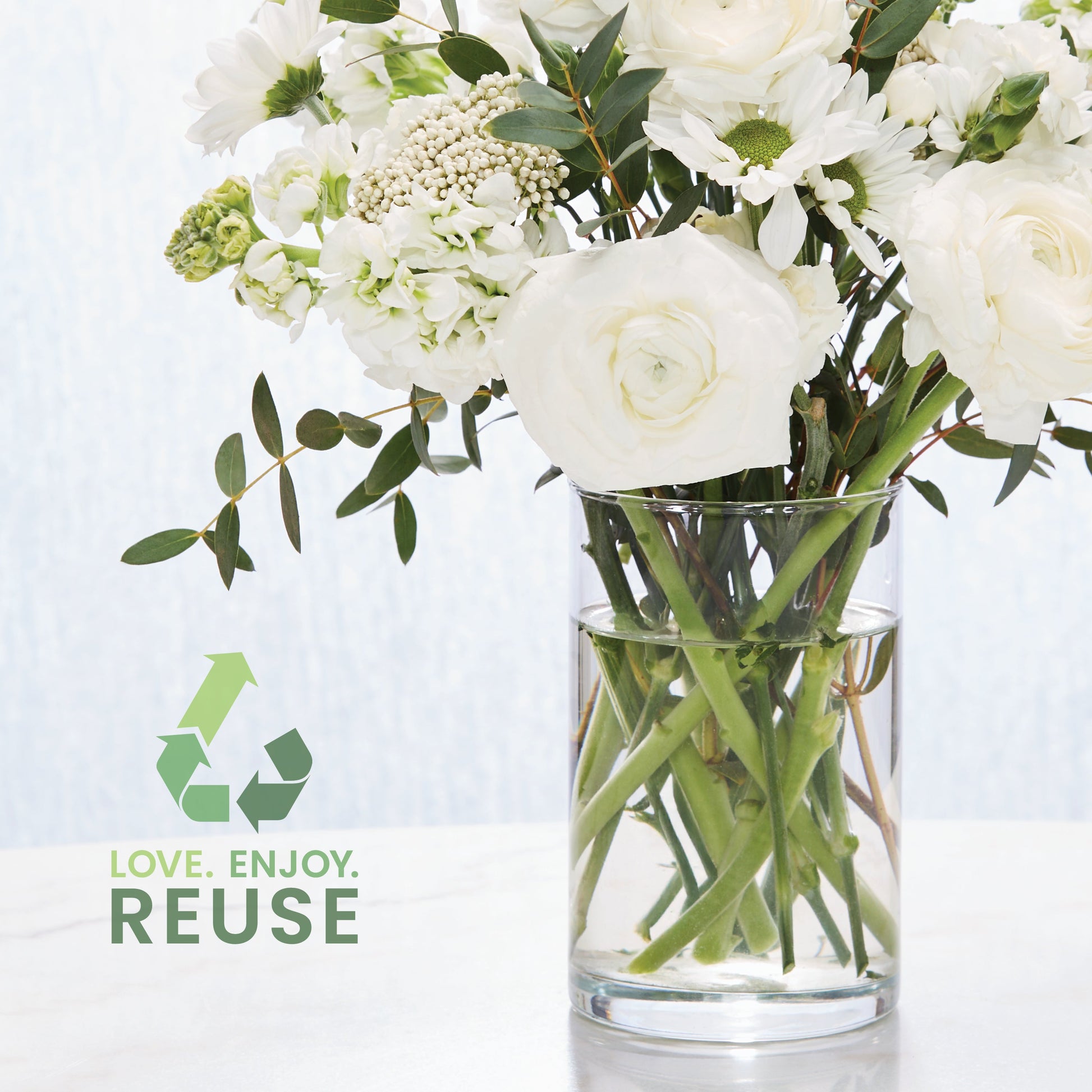 Lush Gardenia